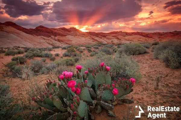 amazing spring sunset in nevada