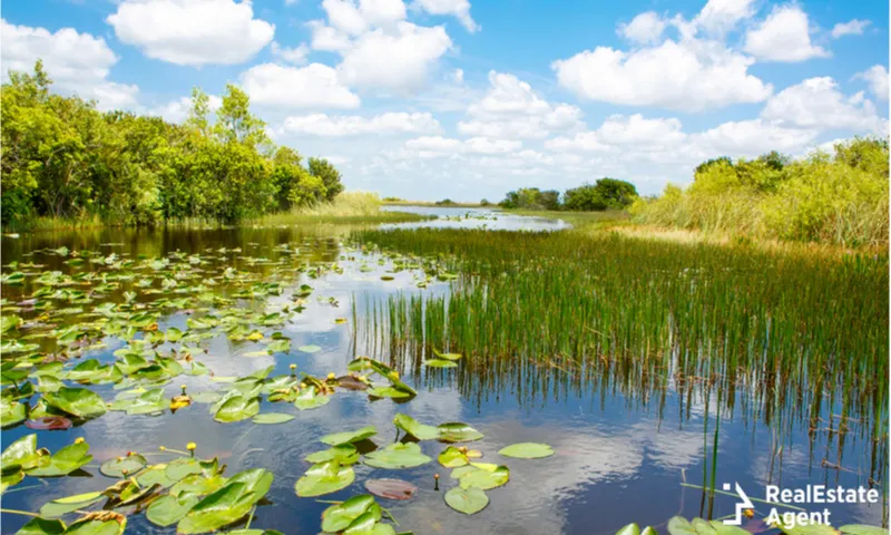 Everglades