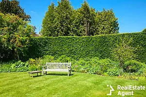 wooden bench in a summer garden