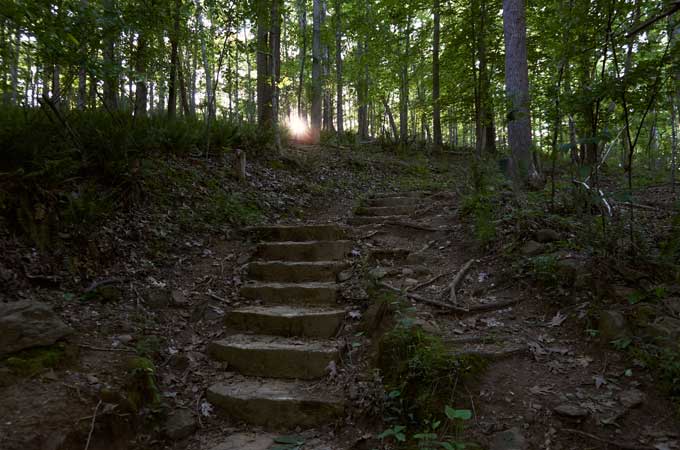 fort mill walking path at anne springs