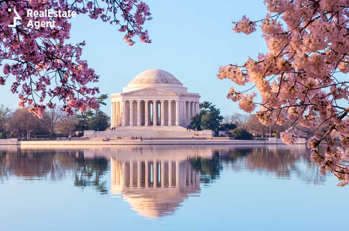 Washington DC Jefferson Memorial with pink cherry blossom 