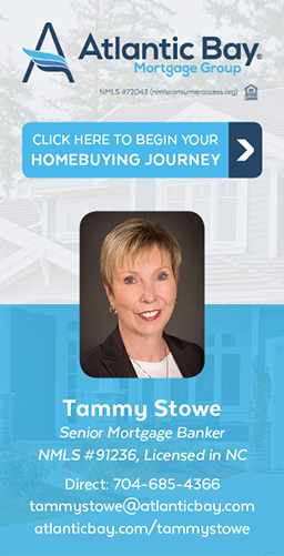 Tammy Stowe web banner